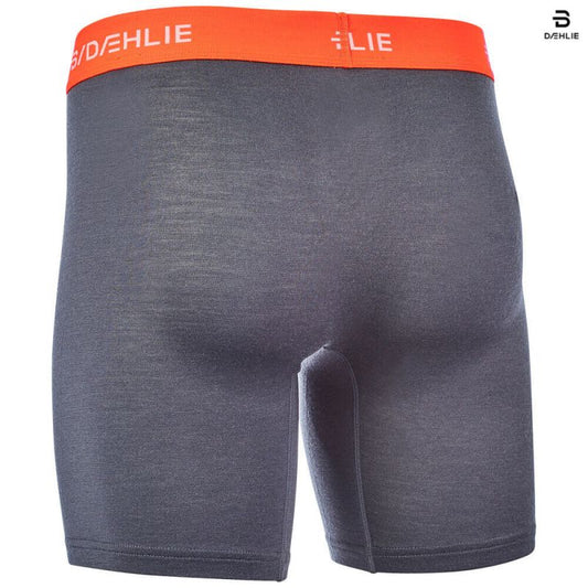 Bjorn Daehlie Wool Boxers Men's, Grey | Vīriešu Apakšbikses 2